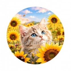 chaton tournesol