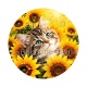 chaton tournesol