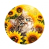 chaton tournesol