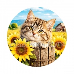 chaton tournesol