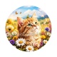 chaton 