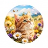 chaton 