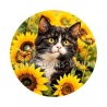 chat tournesol