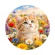 chaton fleur