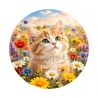 chaton fleur
