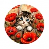 chaton coquelicot