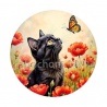 chat coquelicot