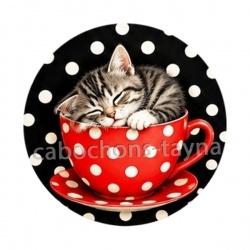 chat tasse fond pois