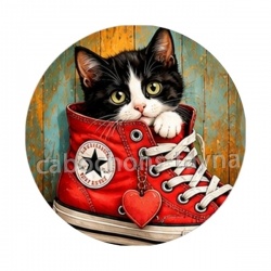 chaton chaussure