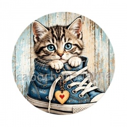 chaton chaussure