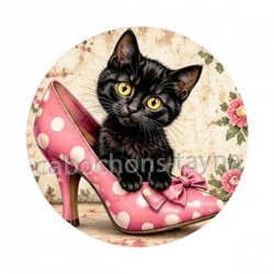 chaton chaussure