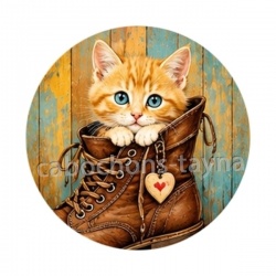chaton chaussure