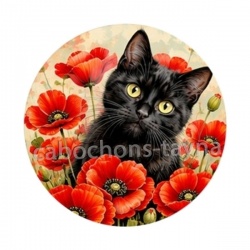 chat coquelicot
