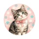 chaton pois