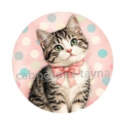 chaton pois
