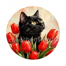 chat tulipe