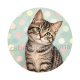 chat pois