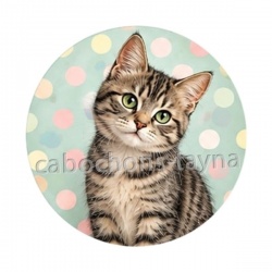 chat pois