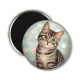Magnet's - chat pois