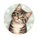 chat pois