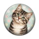 Cabochon Résine - chat pois
