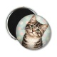 Magnet's - chat pois