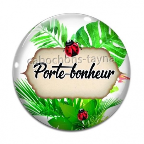 Cabochon Verre - porte bonheur
