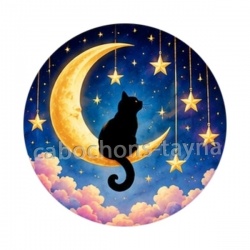 chat noir lune et étoile- Cabochon verre ou résine, porte-clés, magnet, miroir