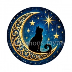 chat noir lune et étoile- Cabochon verre ou résine, porte-clés, magnet, miroir