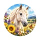 cheval