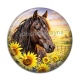 Cabochon Résine - cheval