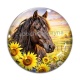 Cabochon Verre - cheval