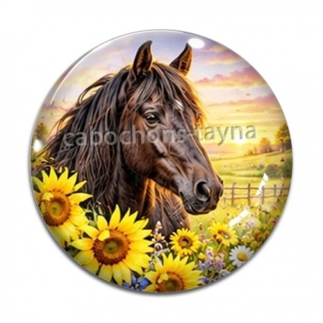 Cabochon Verre - cheval