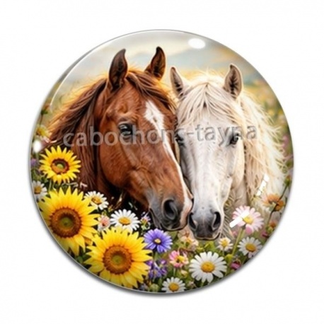 Cabochon Verre - cheval