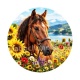 cheval