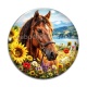 Cabochon Verre - cheval