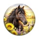 Cabochon Verre - cheval