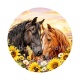 cheval