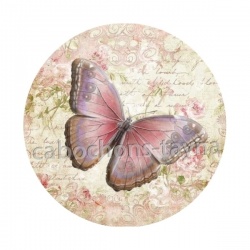 papillon