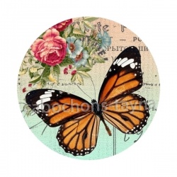 papillon
