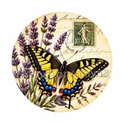 papillon