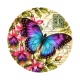 papillon