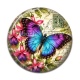 Cabochon Résine - papillon