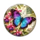 Cabochon Verre - papillon