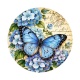 papillon