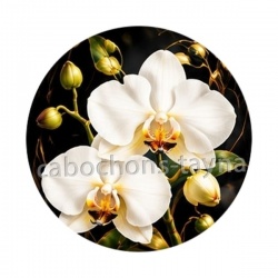 fleur orchidée blanche- Cabochon verre ou résine, magnet, miroir