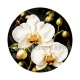 fleur orchidée blanche- Cabochon verre ou résine, magnet, miroir