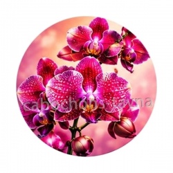 fleur orchidée