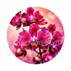 fleur orchidée
