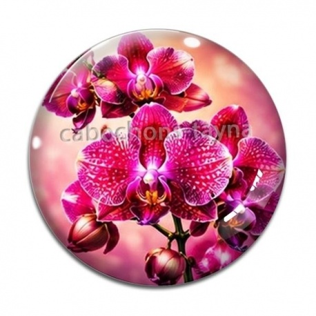 Cabochon Verre - fleur orchidée